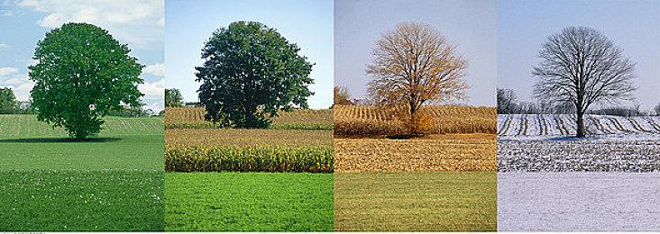 FBI担心美国暴力极端主义青少年利用在线游戏活动