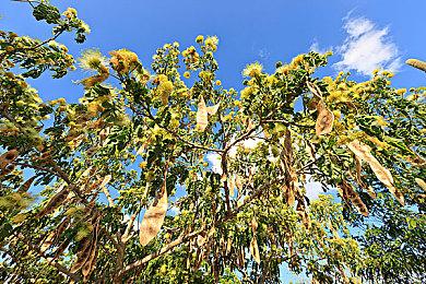 手持涂鸦枪大闹四方，像素沙盒《方块方舟》儿童节版本上线